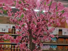 -沃尔玛购物广场(中山店)