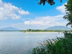-飞来湖湿地公园