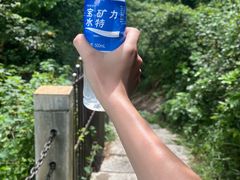 -水濂山森林公园
