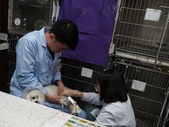 -宠爱国际动物医院·疑难骨科·心肾内科·皮肤科(太阳宫店)