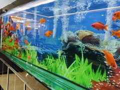 -张刚酒楼(春晓馨苑店)