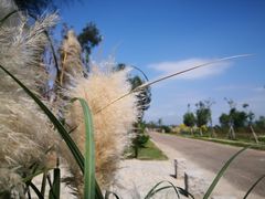 -漩门湾国家湿地公园