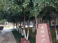 -武昌江滩