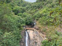 -广州白江湖森林公园