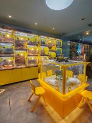 点击看大图 -神奇动物撸宠馆·羊驼·小浣熊·异宠(豫园店)