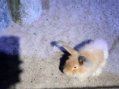 -正佳雨林生态植物园