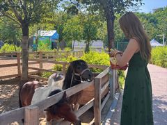 -水上乐园·欢乐世界