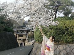 -樱京和服租赁体验(京都总店)