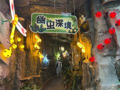 -正佳雨林生态植物园