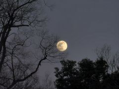 -南京东郊国宾馆