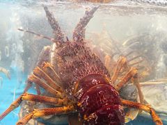 -盒马鲜生(王府广场店)