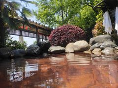 -张家港金凤凰度假村温泉