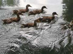 -阿哈湖国家湿地公园