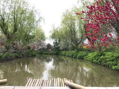 -南汇桃花村