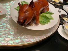 乳猪焗饭-8餐厅(新葡京酒店)