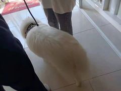 -子乐宠物医院