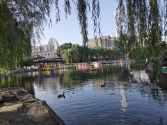 -团结湖公园