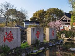 -香雪海