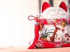 -嗨皮儿·现蒸面皮(抄纸巷店)