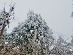 -南岳衡山风景名胜区