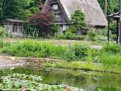 -白川乡与五箇山的合掌构造村落