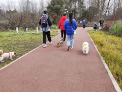 -桤木河湿地公园