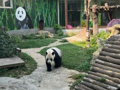 -南昌动物园