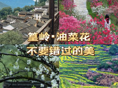 -篁岭景区