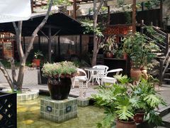 -Local泰莲庭(虹鳟鱼店)