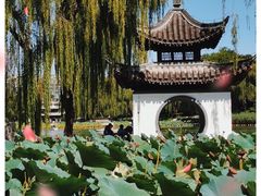 -陶然亭公园