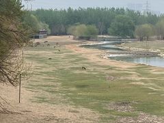 -北京麋鹿生态实验中心