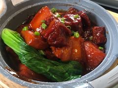 姥爷红烧肉-津悦·正阳春烤鸭(红旗南路店)