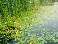 -永定河休闲森林公园