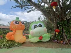 -海南热带野生动植物园
