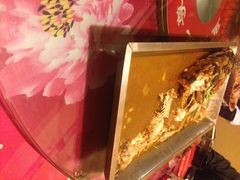 张氏鱼庄(一店)-张氏鱼庄
