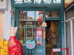 -猫咪博物馆(顶澳仔猫街店)
