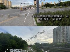 -宝安西湾红树林湿地公园