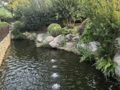 -诗经里