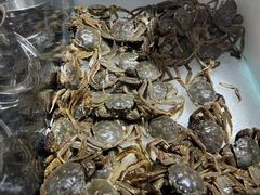 -火叮叮自助烤肉·现切牛肉(茂业店)