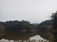 -广州市石门国家森林公园