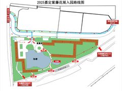 -嘉定紫藤园
