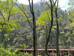 -木兰云雾山