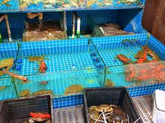 -三妹小龙虾·黄油蟹(华侨城总店)