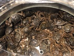 -欢乐牧场海鲜烤肉自助(牡丹园店)