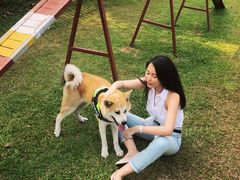 -良成狗狗乐园