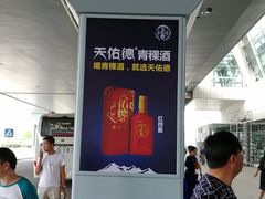 -西宁曹家堡国际机场-T2航站楼