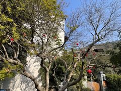 -树山生态村
