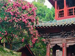 -报恩寺(平武县)