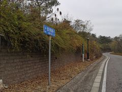 -羊山湖公园