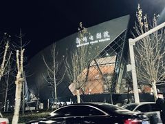 -郑州大剧院